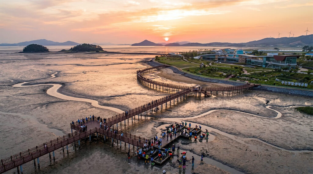 Muan Mudflat Ecological Park