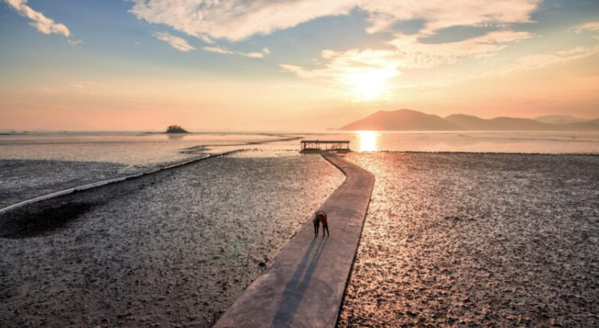 Suncheon’s Haeryong-myeon: Your Ultimate Guide to Korea’s Ecological Wonderland!