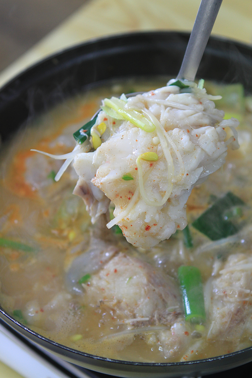 Unlock Uljin: Korea’s Undiscovered Coastal Gem You NEED to Visit!