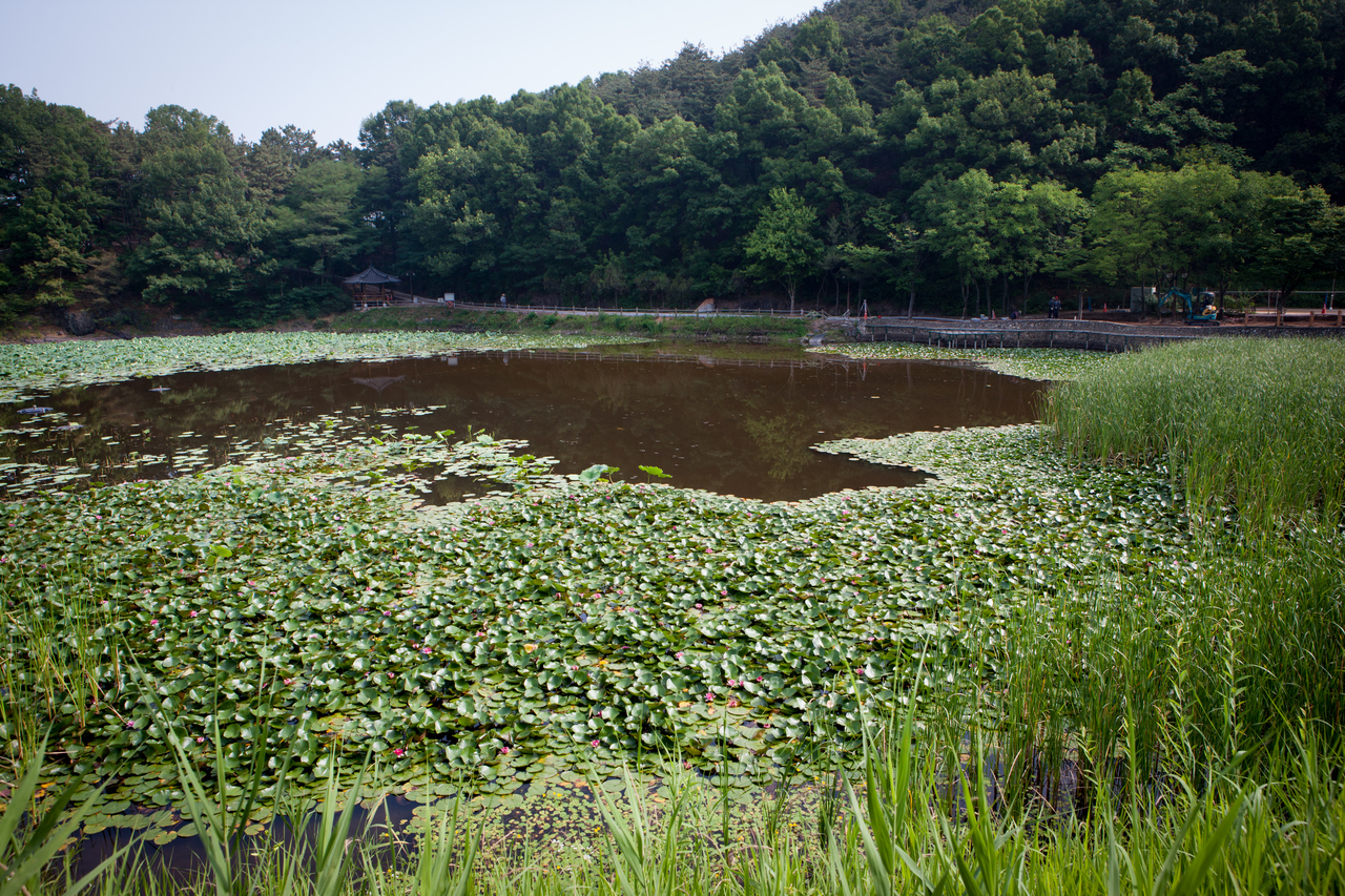 Daegu: Korea’s Sizzling Secret You Can’t Miss!