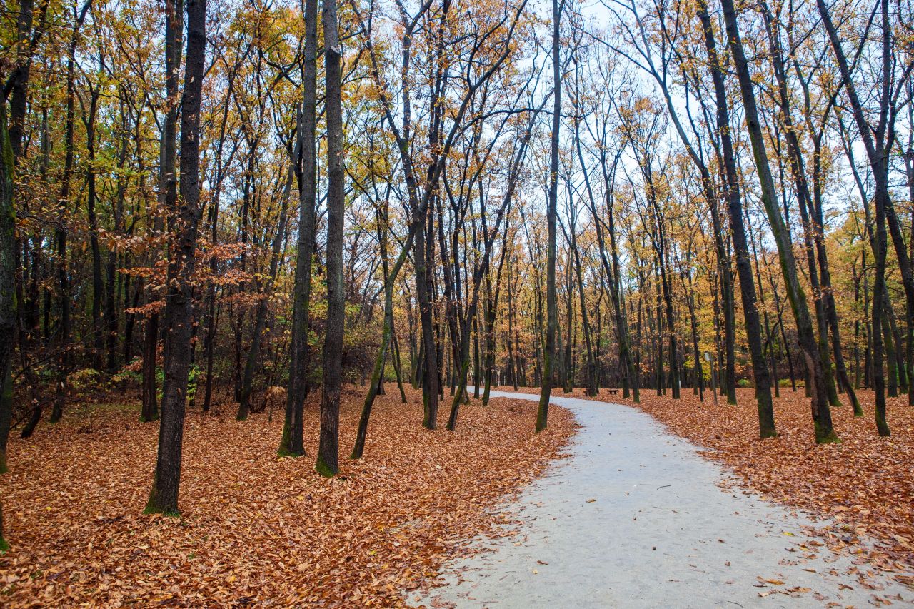 Unveiling Annyeong-dong: Hwaseong’s Royal Retreat in Gyeonggi-do
