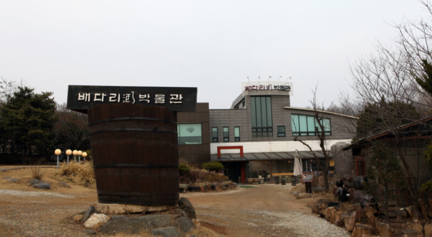 Goyang: Your Next Must-Visit Spot Just Outside Seoul!