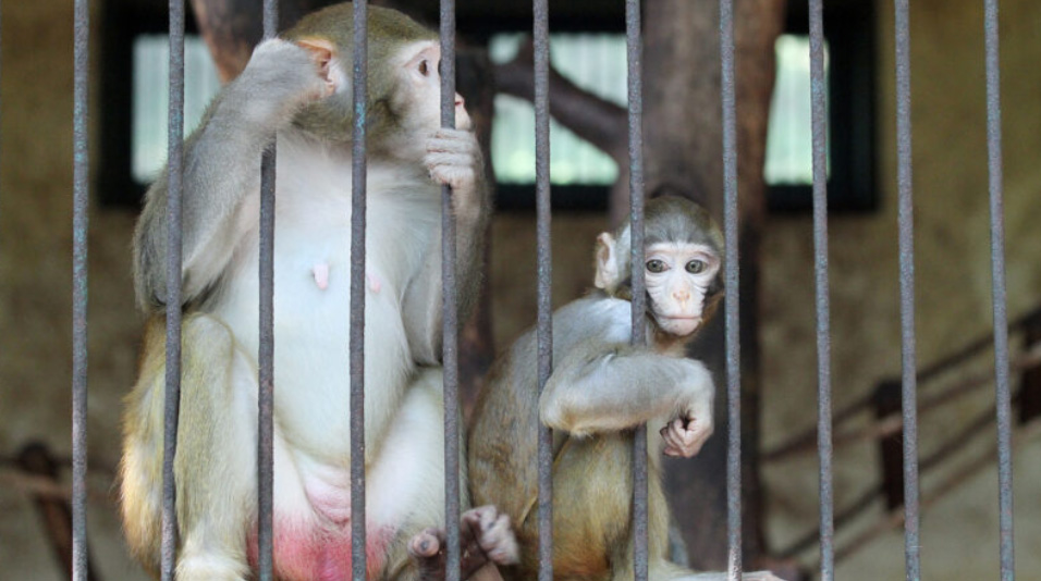 Jinju: Unveiling the Historic Heart of Gyeongsangnam-do, South Korea