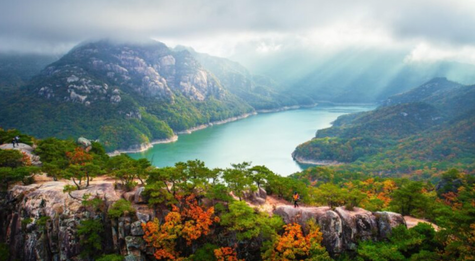Breathe in Jecheon, Recharge with Healthy Energy! The Ultimate Guide to Jecheon Hanbang Expo Park