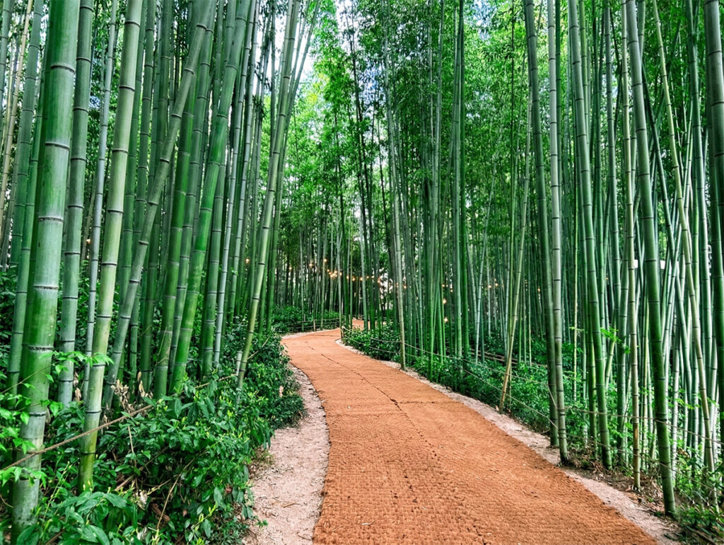 Damyang, Juknokwon Bamboo Garden