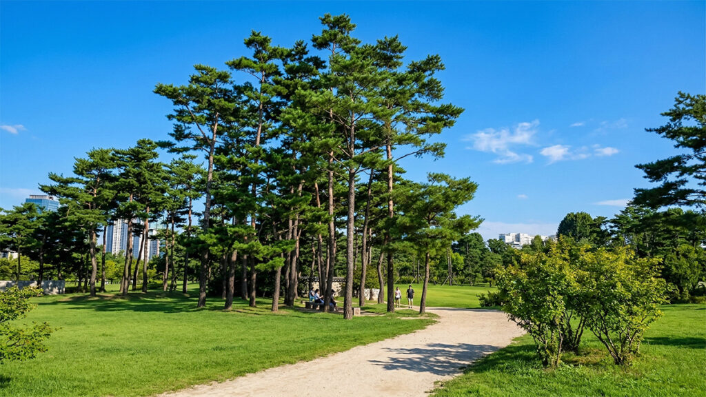 the serene walk of Gyeongbokgung Palace in Korea
