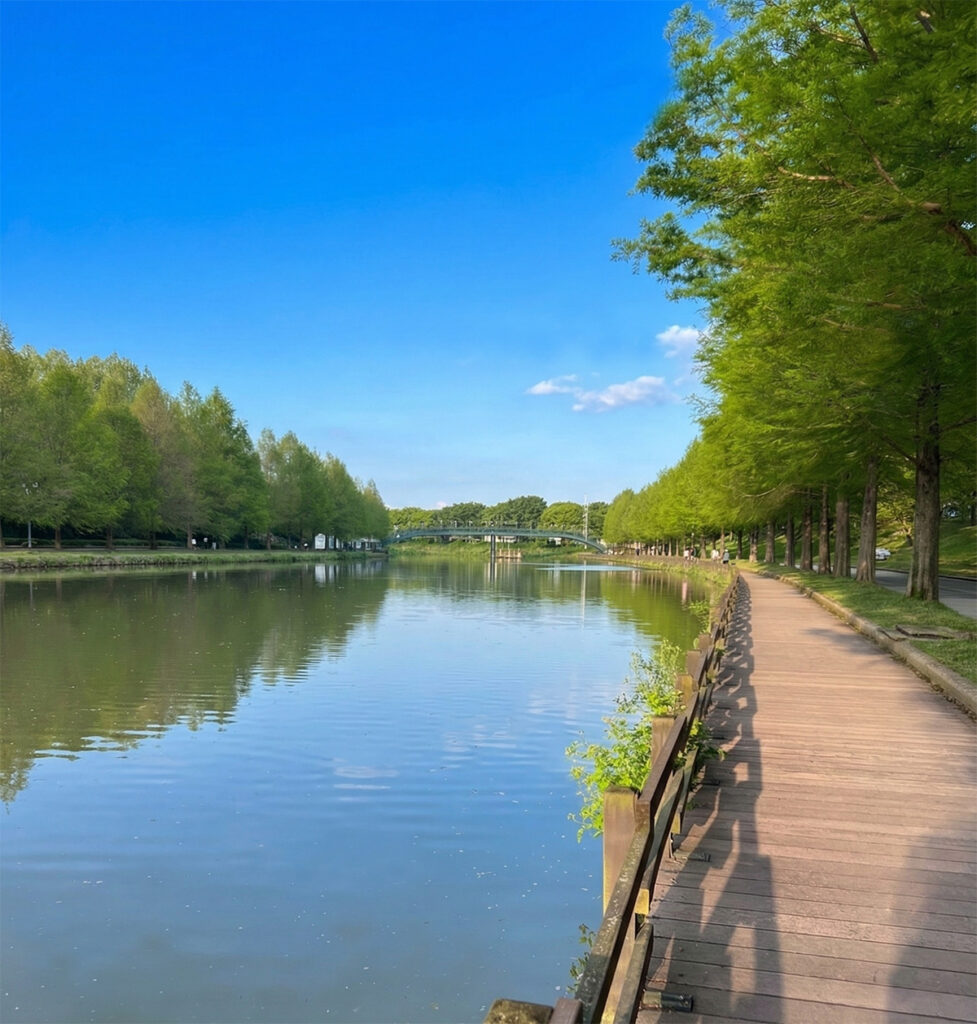Gwanbangjerim & Metasequoia Road