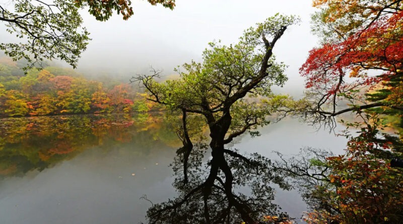 Exploring Cheongsong-gun Budong-myeon: The Ultimate Guide to Juwangsan National Park