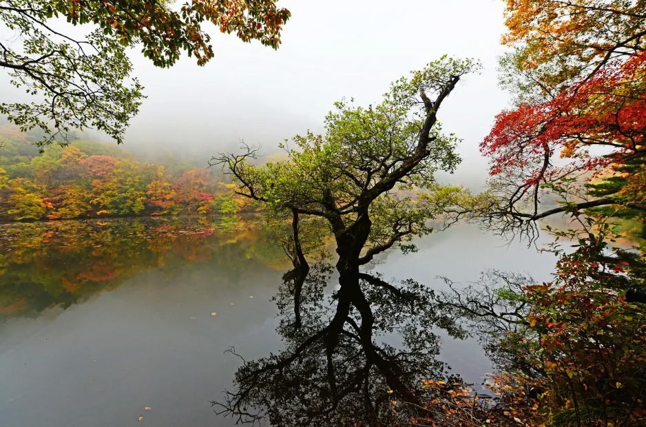 Exploring Cheongsong-gun Budong-myeon: The Ultimate Guide to Juwangsan National Park