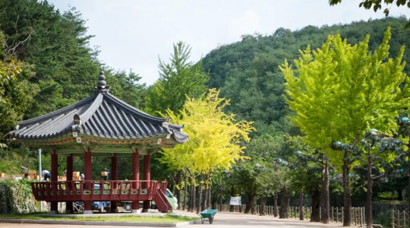 Bonghwa: A Breath of Fresh Air in the Baekdu-daegan Mountains