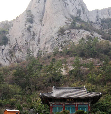 Discover Jindo: The Island of Miracles and Mystical Charms!