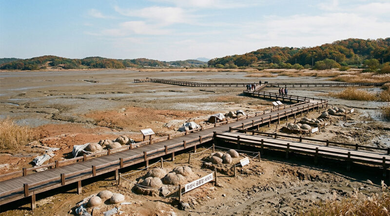 Hwaseong The Dinosaur Egg Fossil Site