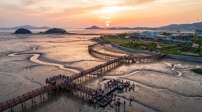 Muan Mudflat Ecological Park