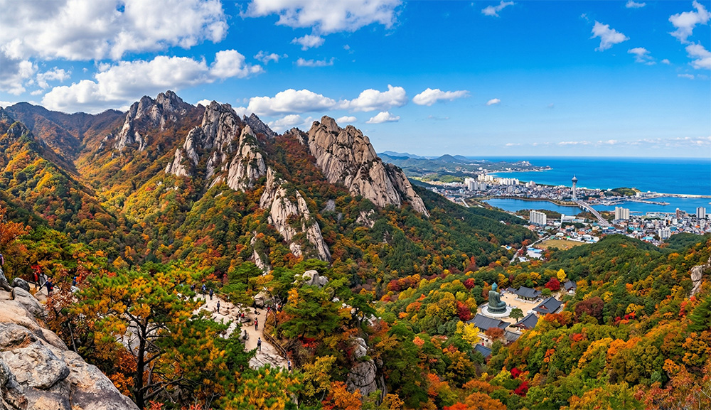 Sokcho Jungang-dong: Korea’s East Coast Gem for Foodies & Fun!