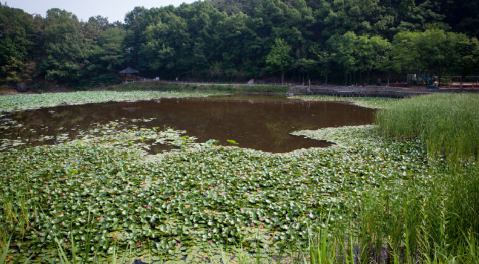 Daegu: Korea’s Sizzling Secret You Can’t Miss!