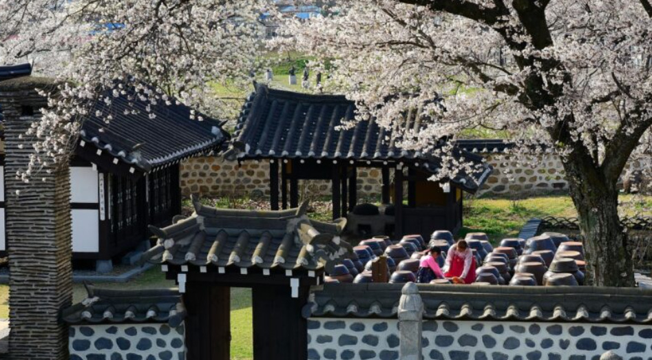 Unwind in Yesan: Discover the Serene Charms of Daeheung-myeon, Korea’s Slow City Gem!