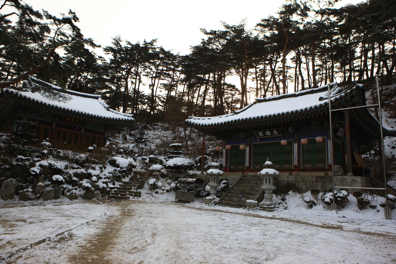 Unveiling Gwangju-si: Gyeonggi-do’s Hidden Gem of History, Art & Nature!