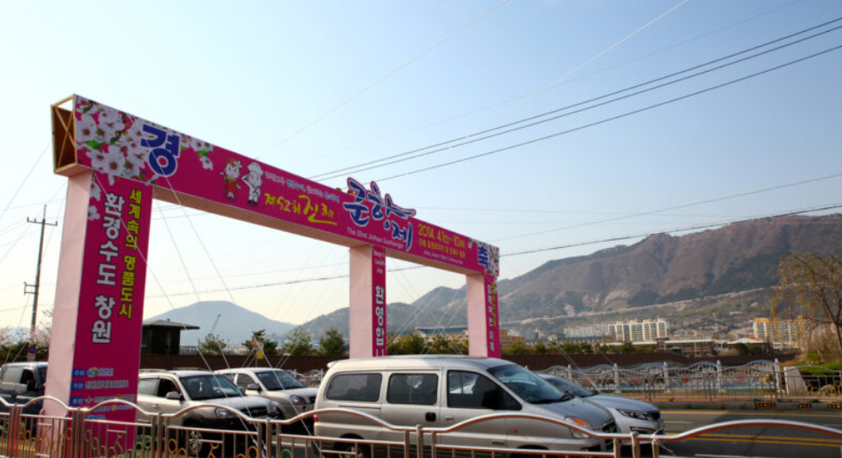 Jinhae: Where Cherry Blossoms Paint Korea Pink – Your Ultimate Travel Guide